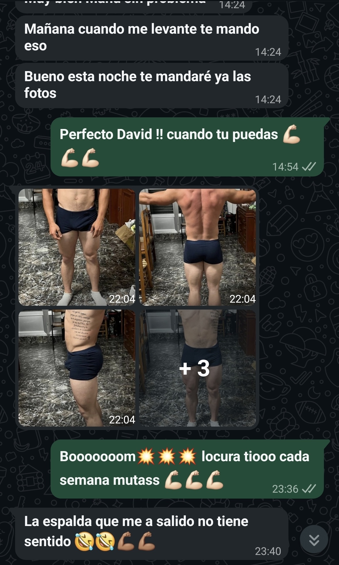 David 6