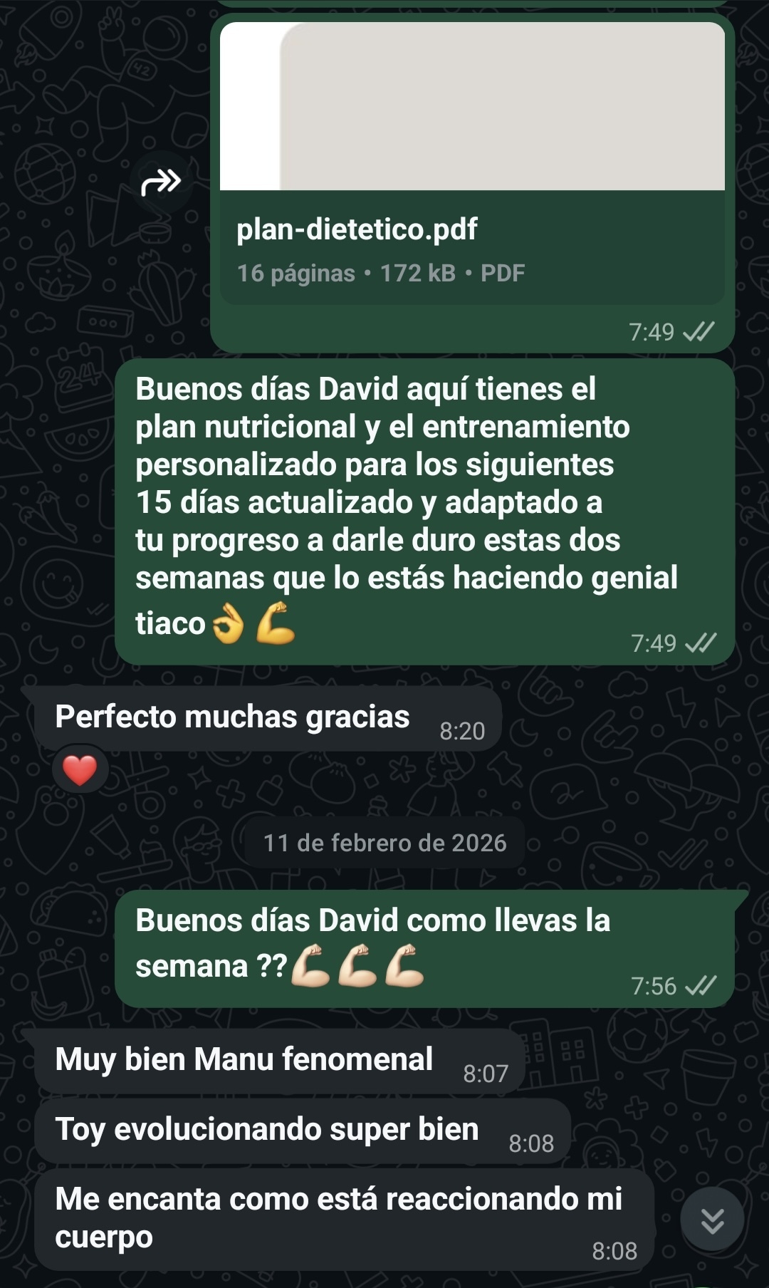 David 5